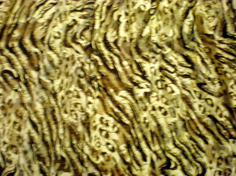3.Brown-Cream Animal Print Lace